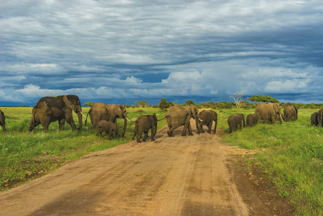 Rotary District Conference 2026